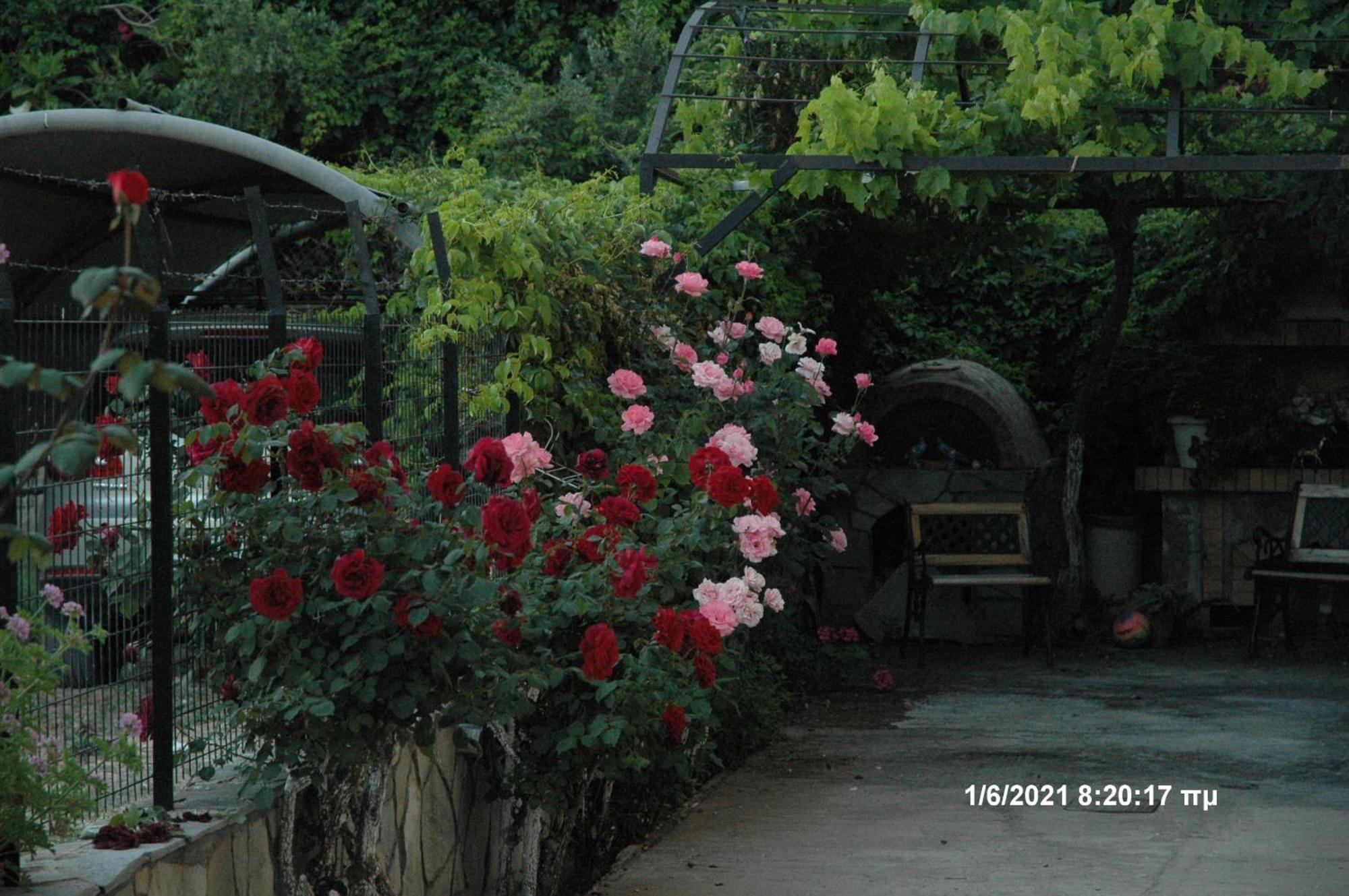 Hotel Mare - Mare B Patras Exterior foto