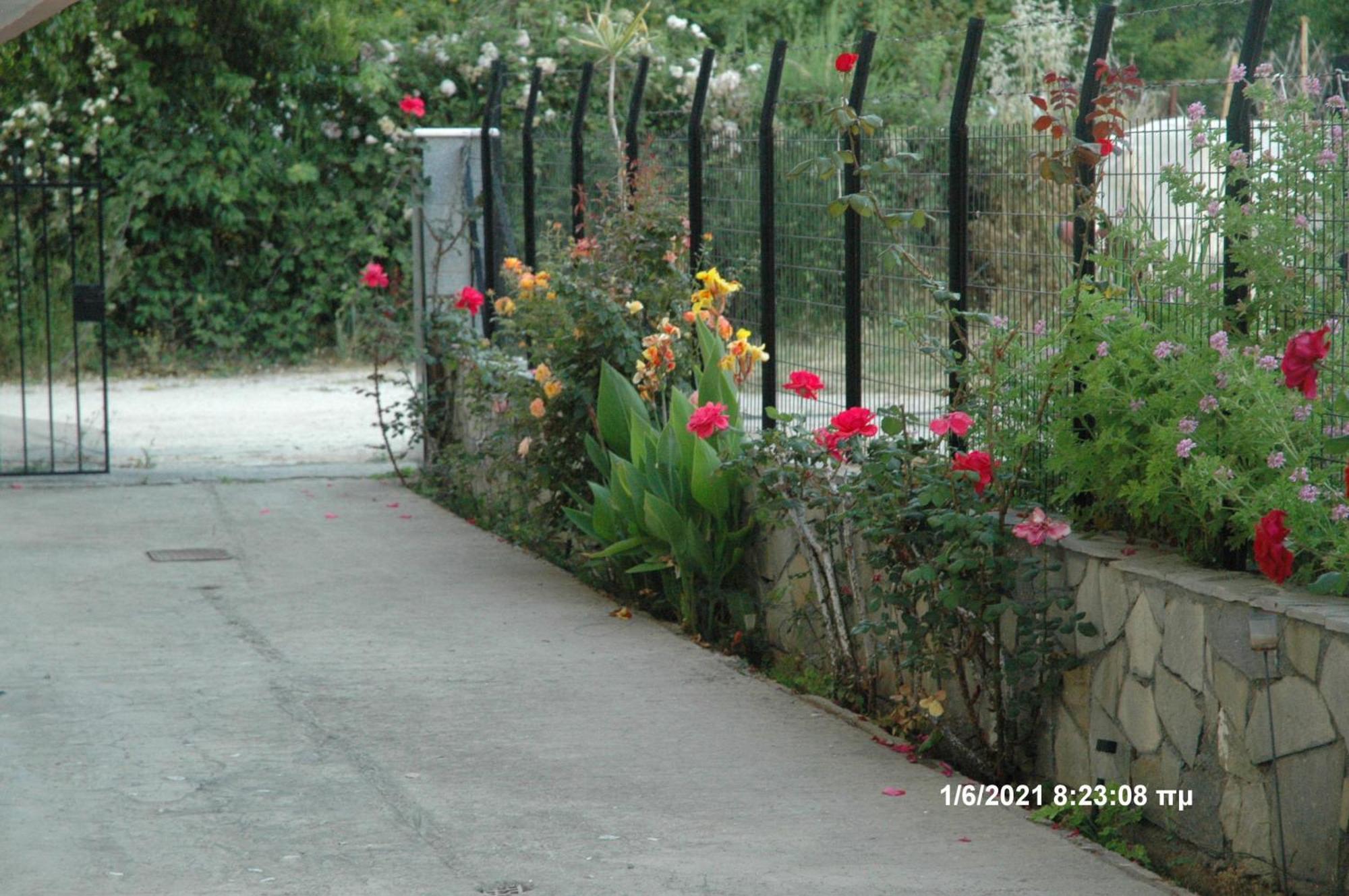 Hotel Mare - Mare B Patras Exterior foto